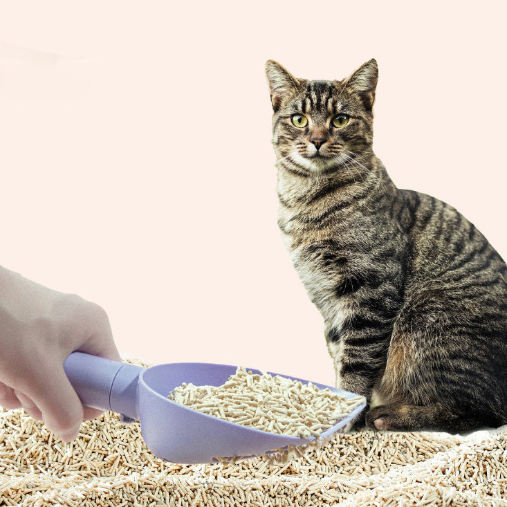 Kitty Litter Scooper With Base