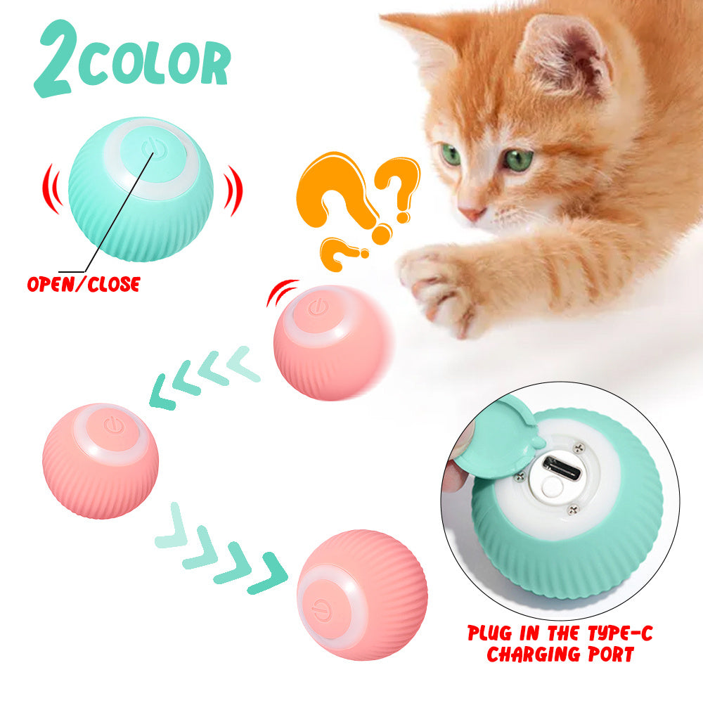 Kitty Chase Ball - Unpredictable & Hilarious Play Ball