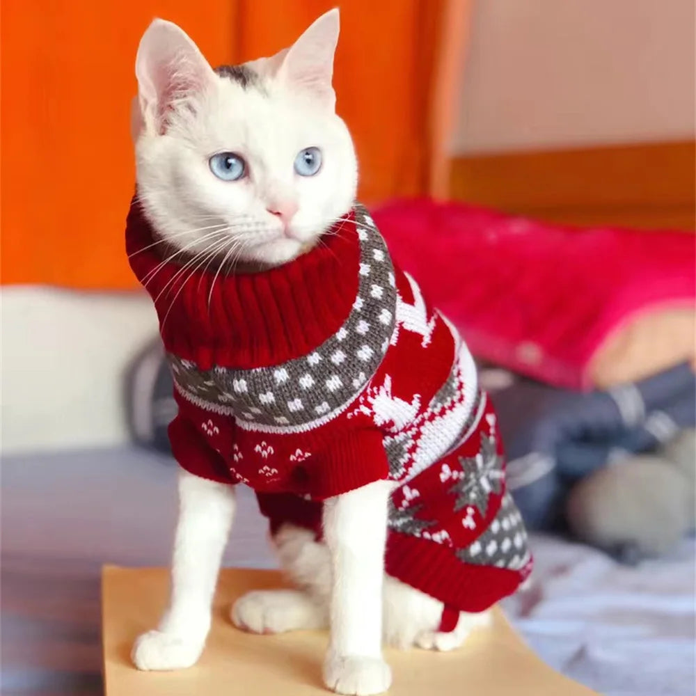 Kitty Sweater