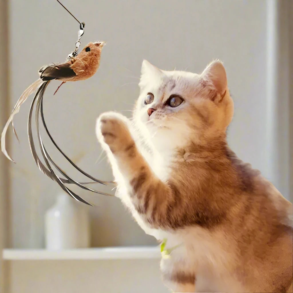 The Swinging Birdy - Suction Cup Swinging Cat Toy